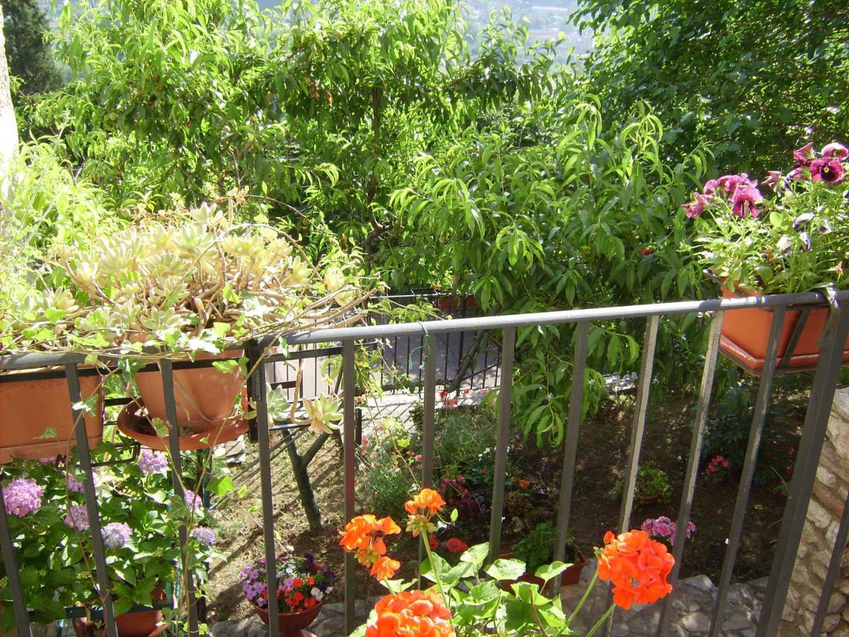 Il Castello Sul Lago Arrone Extérieur photo