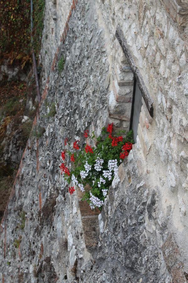Il Castello Sul Lago Arrone Extérieur photo