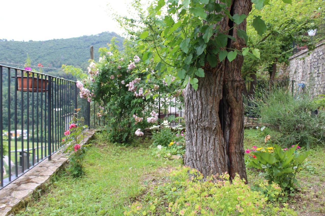Il Castello Sul Lago Arrone Extérieur photo
